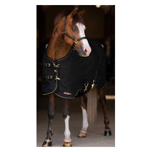 Pony Cotton Stable Sheet  Kensington
